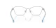Swarovski SK 1006 4020