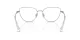 Swarovski SK 1007 4001