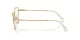 Swarovski SK 1007 4004