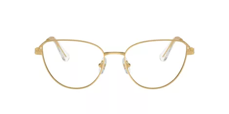 Swarovski SK 1007 4004