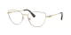 Swarovski SK 1007 4013