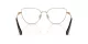 Swarovski SK 1007 4013