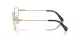 Swarovski SK 1007 4013