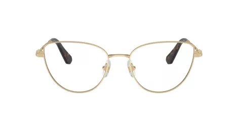 Swarovski SK 1007 4013