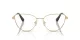 Swarovski SK 1007 4013