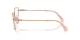 Swarovski SK 1007 4014