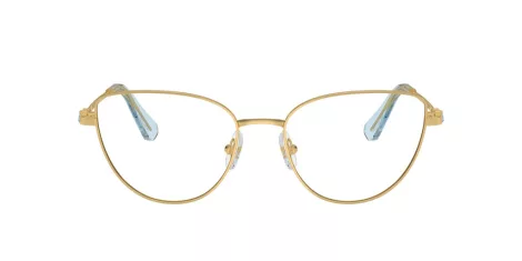 Swarovski SK 1007 4021
