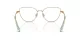Swarovski SK 1007 4021