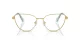 Swarovski SK 1007 4021