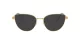 Swarovski SK 1007 4021