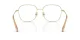 Swarovski SK 1009D 4013