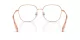 Swarovski SK 1009D 4014