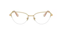 Swarovski SK 1010 4004