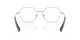 Swarovski SK 1011 4001