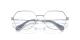 Swarovski SK 1011 4001