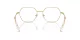 Swarovski SK 1011 4004