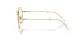Swarovski SK 1011 4004