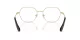 Swarovski SK 1011 4013