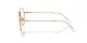 Swarovski SK 1011 4014