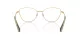Swarovski SK 1012 4004