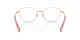 Swarovski SK 1012 4014