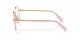 Swarovski SK 1013 4014