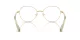 Swarovski SK 1013 4017