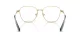 Swarovski SK 1019 4021