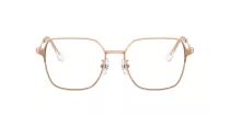 Swarovski SK 1020D 4014