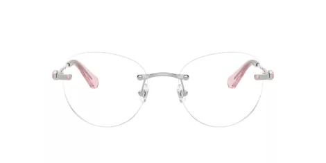 Swarovski SK 1021 4001
