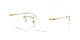 Swarovski SK 1021 4004