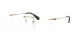 Swarovski SK 1021 4013