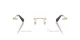 Swarovski SK 1021 4013