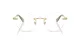 Swarovski SK 1021 4017