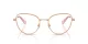 Swarovski SK 1022 4014