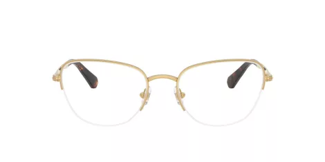 Swarovski SK 1023 4004