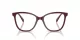 Swarovski SK 2020 1008