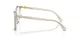 Swarovski SK 2020 3003