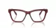Swarovski SK 2021 1055