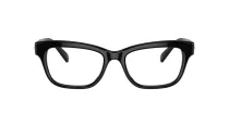 Swarovski SK 2022 1001