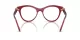Swarovski SK 2036 1055