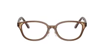 Swarovski SK 2040D 1067