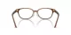 Swarovski SK 2040D 1067