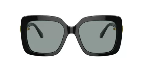 Swarovski SK 6001 1001/1