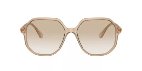 Swarovski SK 6003 103411