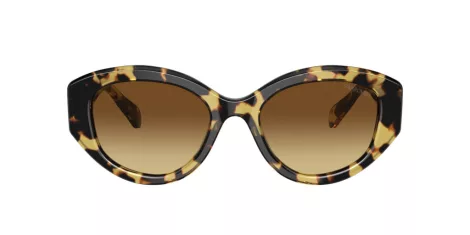 Swarovski SK 6005 100913