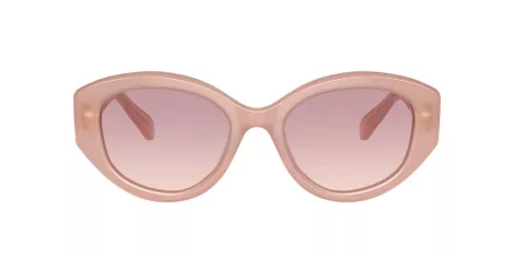 Swarovski SK 6005 102568