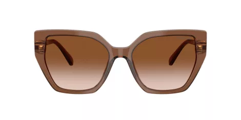 Swarovski SK 6016 106713