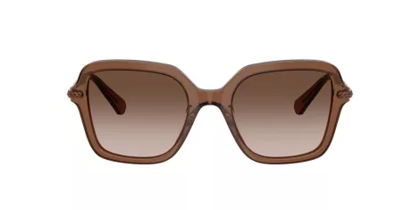 Swarovski SK 6040 106713