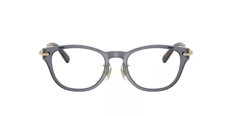 Tiffany TF 2237D 8405